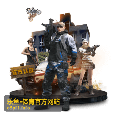 观赛攻略指南说明